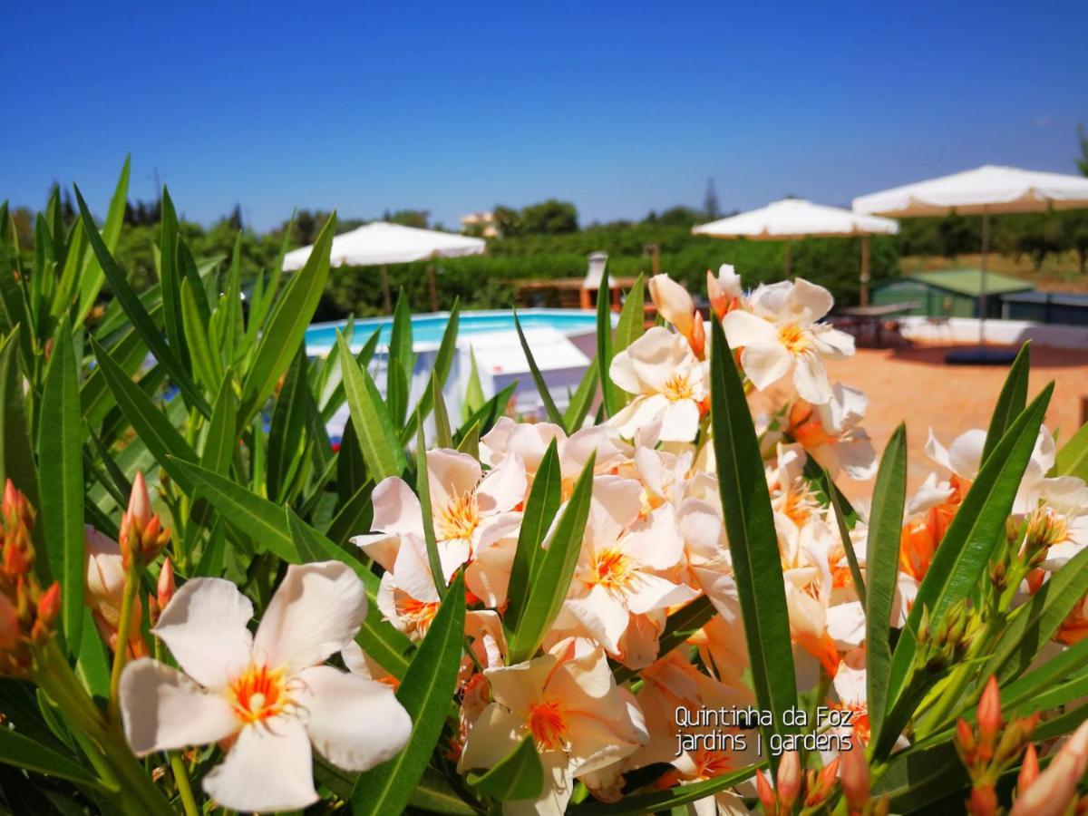 Quintinha Da Foz Guest House Sao Pedro  Εξωτερικό φωτογραφία