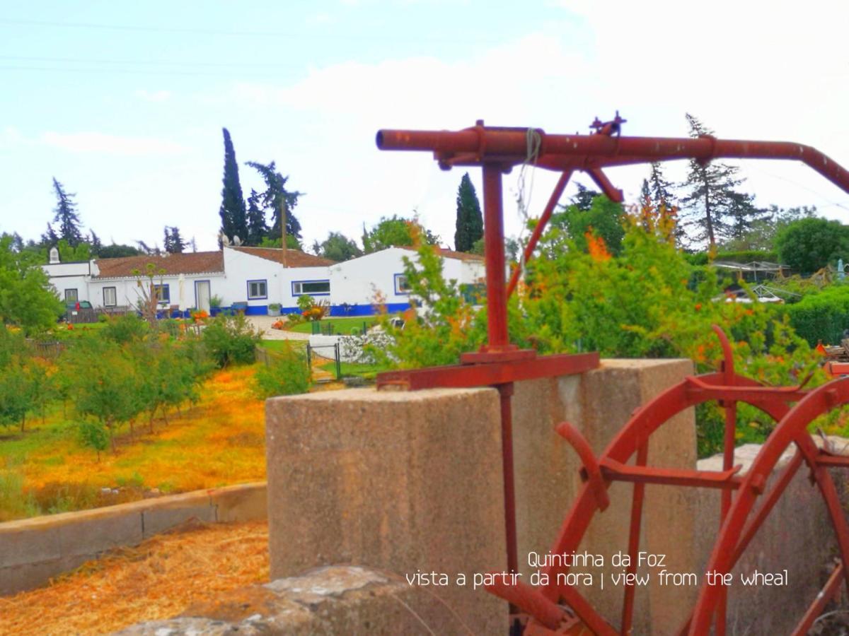 Quintinha Da Foz Guest House Sao Pedro  Εξωτερικό φωτογραφία