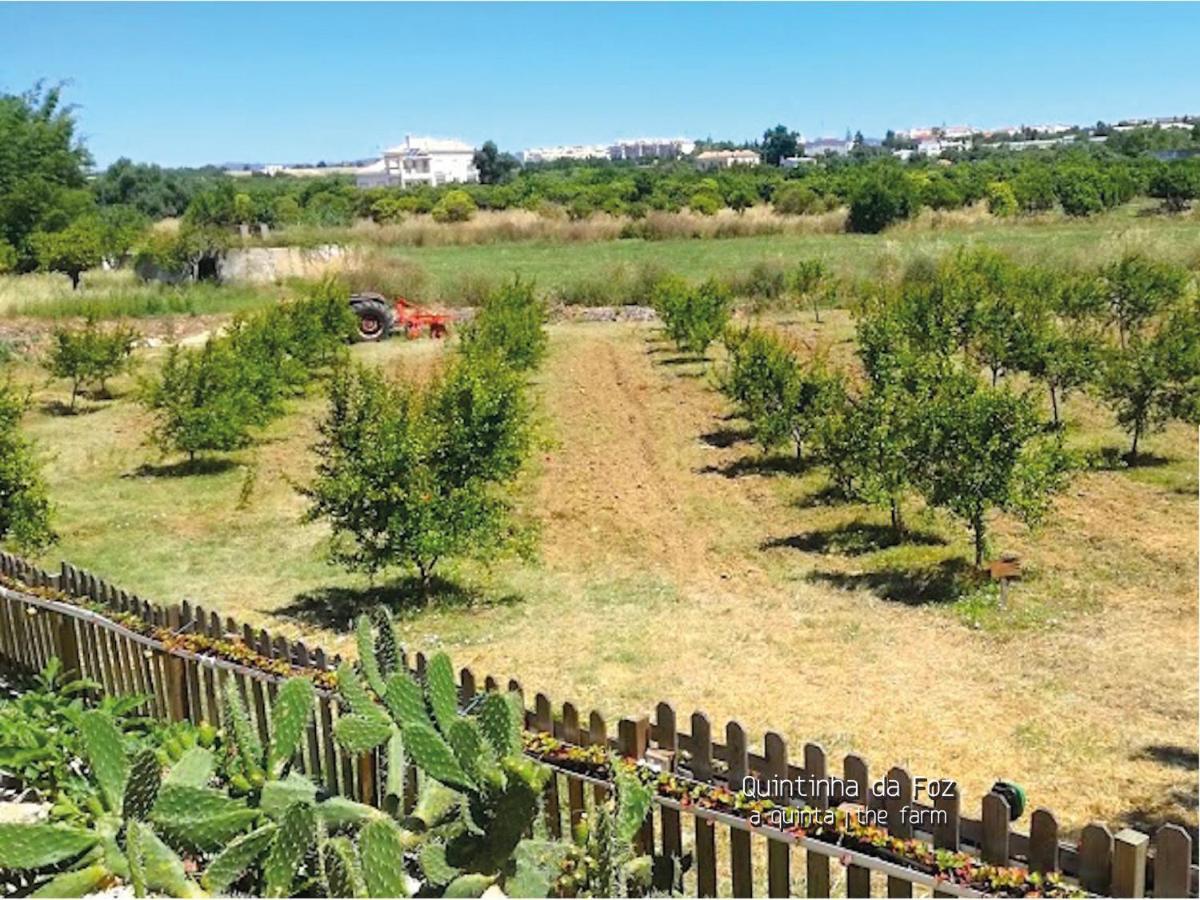 Quintinha Da Foz Guest House Sao Pedro  Εξωτερικό φωτογραφία