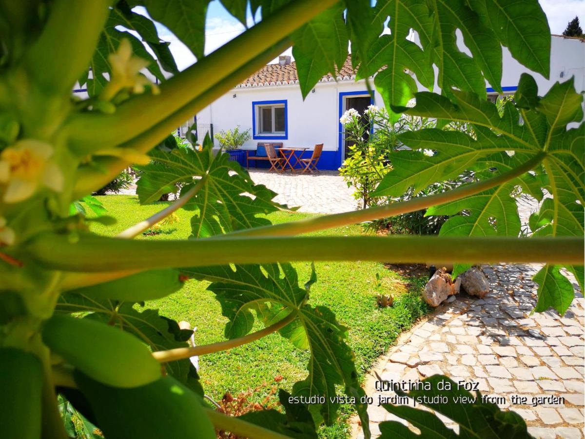 Quintinha Da Foz Guest House Sao Pedro  Εξωτερικό φωτογραφία