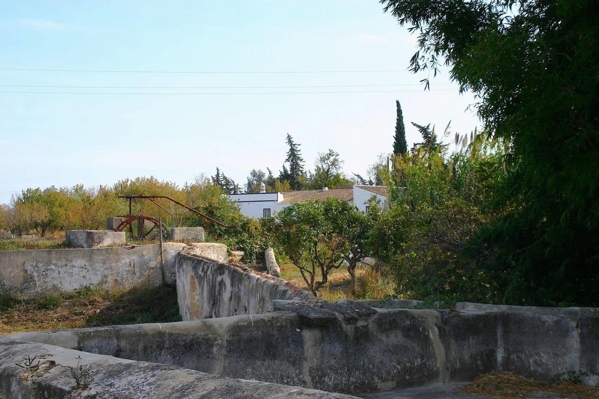 Quintinha Da Foz Guest House Sao Pedro  Εξωτερικό φωτογραφία